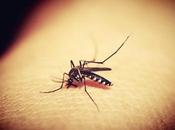 Protect Yourself from Mosquito-Related Diseases
