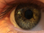 Modern Pain Eye: What High-Tech Does