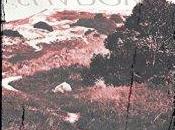 Standing Shadows Stasiak