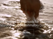 Biggest Gainers Stock Market Today Uses gTLD Corporate Website