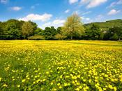 Find Perfect Self-catering Holiday Peak District