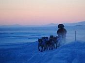 Iditarod 2012: Frontrunners Begin Stretch Nome