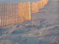 Glowing Zig-zag Beach Fence Sunrise