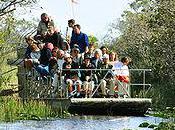 Traveling Around Take English Courses Miami