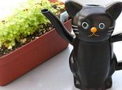 Cute Lovely Watering from Japan Makes Gardening More