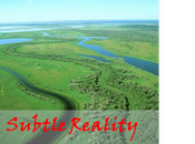 Subtle Reality