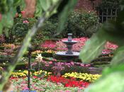 Weekly Photo: Through