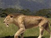 Featured Animal: Sabre-Toothed Tiger