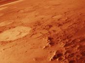 Terraforming Mars with Trees, Plants Veggies?