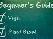 Beginners Guide Brand Vegan