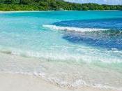 Vieques Beaches Best Visit During Your Trip