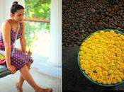 #TravelTuesday Boutique Hotel Pondicherry, India