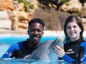 Travel Swimming with Dolphins Experience