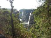 Victoria Falls Waterfall Africa That Water