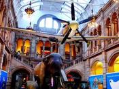 Attraction: Kelvingrove Gallery Museum