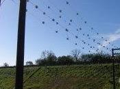 Evidence Strikes Back What Works 2017