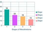 Mesothelioma Prognosis Life Expectancy