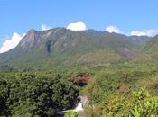 Hiking Yakushima