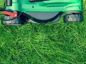 Spring Way: Start Prepping Your Lawn Heat