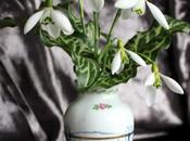 Vase Monday Snowdrops