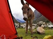 Photos That Will Make Want Visit South America This Winter