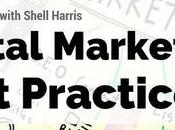 Expert Interview with Shell Harris Digital Marketing Best Practices