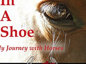 Spiritual Lessons from World Horses WORLD SHOE #BookReview #Author Interview