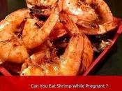 Shrimp While Pregnant?