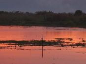 Weirdest Travel Moments from 2016