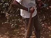 Armed with Smartphones, Cameroon Forest Defenders Take Illegal Loggers
