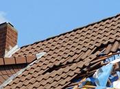 Warning Signs Need Roof