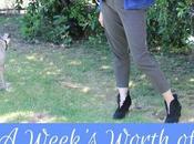 Week’s Worth Pants Based Office Outfits Inspire