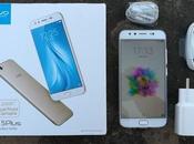 Vivo Plus Review