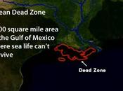 Scientists Have Just Detected Major Change Earth’s Oceans Linked Warming Climate