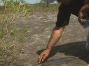 Ancient ‘Moon Rock’ Engravings Protected Proof Aboriginal Astronomy NITV