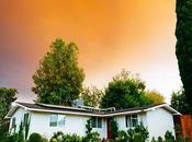 Make Your Lawn Greener: Aeration Overseeding Tips