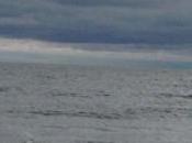 Many Shares Should Beginner Buy?