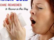 Common Cold Home Remedies Recover