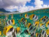 Marine Hotspots Under Dual Threat from Climate Change Fishing