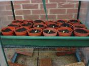 From Small Beginnings...