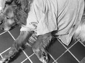 Post Surgery Challenges