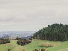 Super Stylish Matakana Elopement Jodie Photography