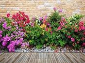 Best Ways Maintain Treat Garden Decking