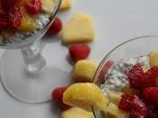 Pina Colada Chia Pudding Parfaits with Raspberries (Dairy, Gluten Refine Sugar Free)