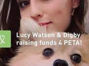 PETA Fundraiser Using Leetchi