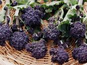 Harvest Monday March 2017