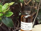 Redbreast Mano Lamh Review