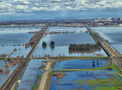 Floodplain Restoration Defenders Wildlife Blog