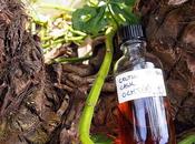 Celtic Cask Ocht Review