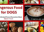 #Dangerous #Foods #Dogs #NationalAnimalPoisonPreventionWeek #March 19-25